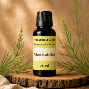 Ackerschachtelhalm-ai-styled-packshot-1200