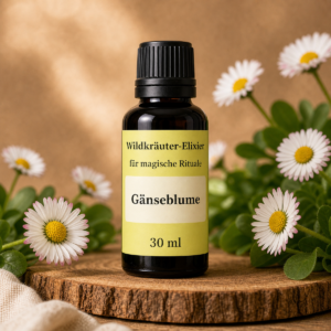 Gänseblume-ai-styled-packshot-1200