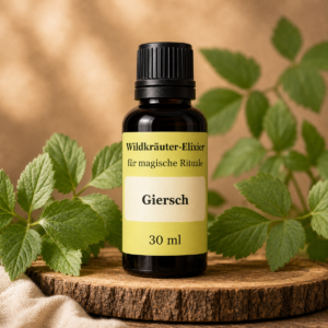 Giersch-ai-styled-packshot-1200