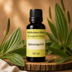 Spitzwegerich-ai-styled-packshot-1200
