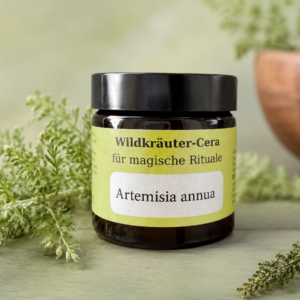 Artemisia annua - Cera