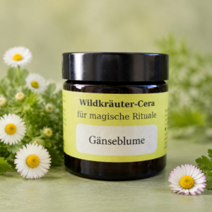 Gänseblume - Cera
